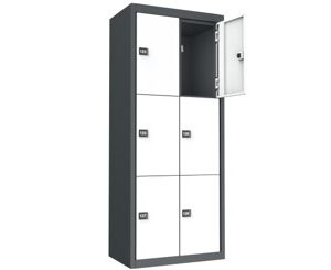 Locker - 6 (D3-400)